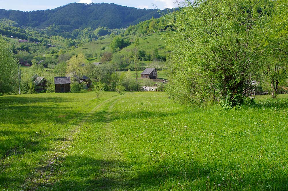 Parcela faneata intravilan, langa drum, Leordina, Maramures, pe Valea Satului