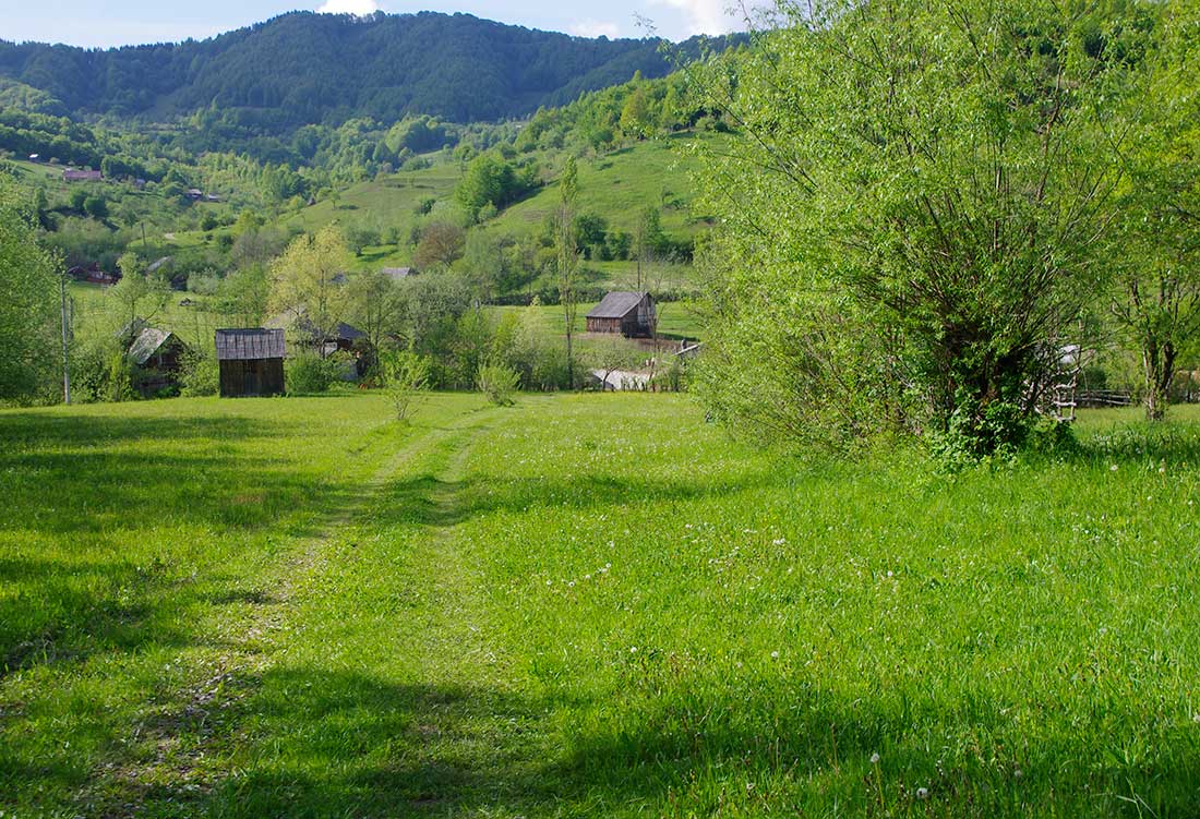 Parcela faneata intravilan, langa drum, Leordina, Maramures, pe Valea Satului