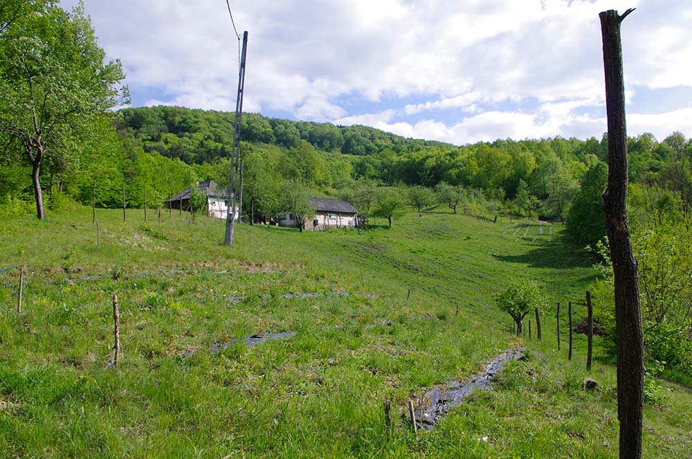 Parcela teren casa, Leordina, Maramures, pe Valea Satului